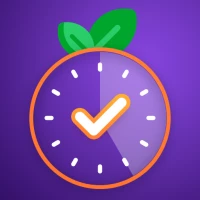 Pomodoro Productivity Timer