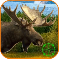 Moose Hunting Calls