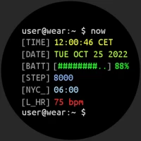 Terminal Watch face