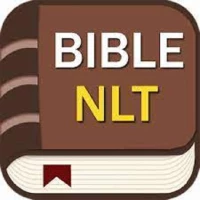 NLT Bible: 365 Day Study Bible