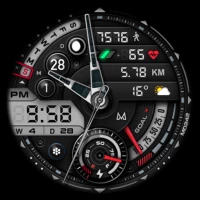 MD242 Hybrid watch face