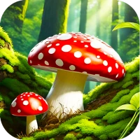 Mushroom Wallpapers HD