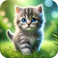 Cute Cats & Kittens Wallpapers