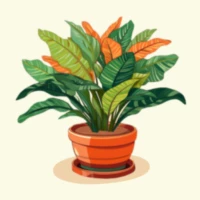 Plant Tycoon - Terrarium 3D