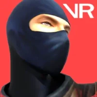 Dragon Ninja VR