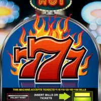 Cash VIP Casino Slots