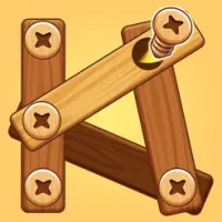 Nuts &amp; Bolts Woody Puzzle