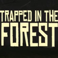 Trapped in the Forest!