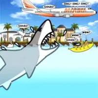 Hungry Miami Shark